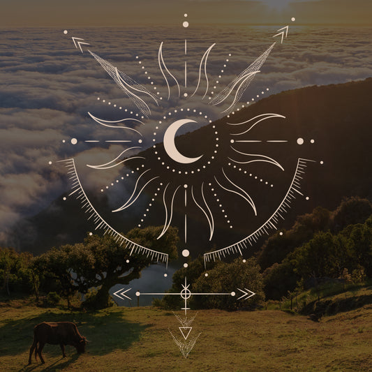 OLAH Sun Veil 30 SPF ● Unscented