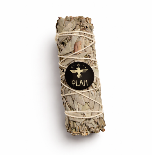 Sacred Sage Bundle